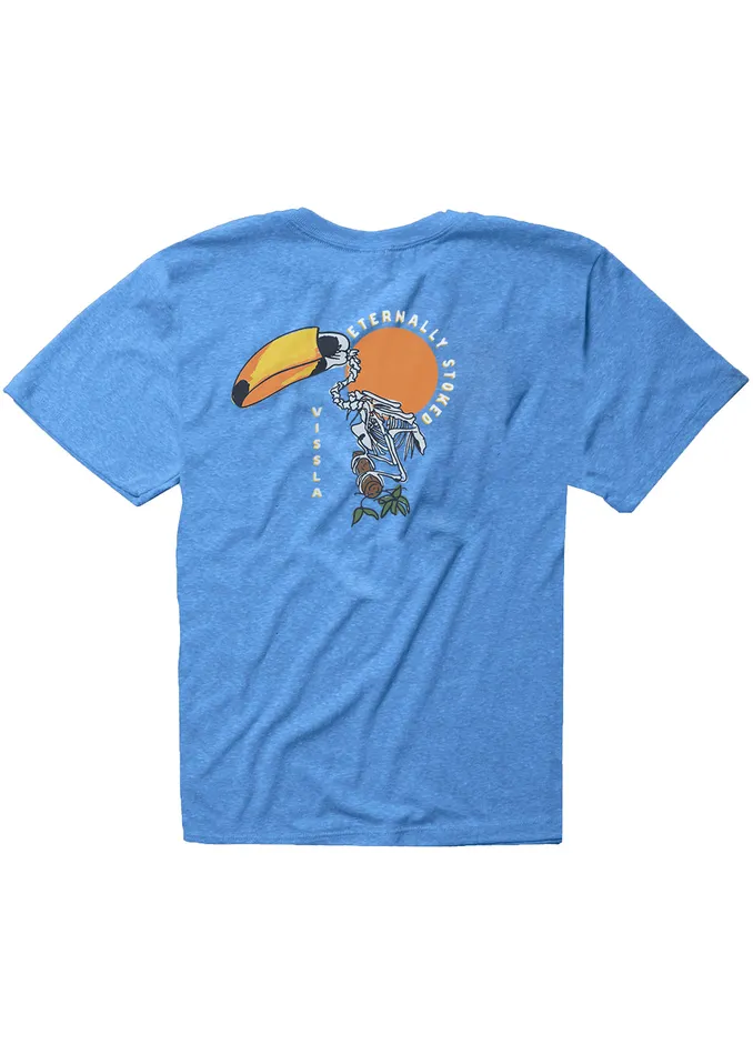 Clothing Vissla Youth Toucan Play Boys Tee RYH 8211 Royal Heather