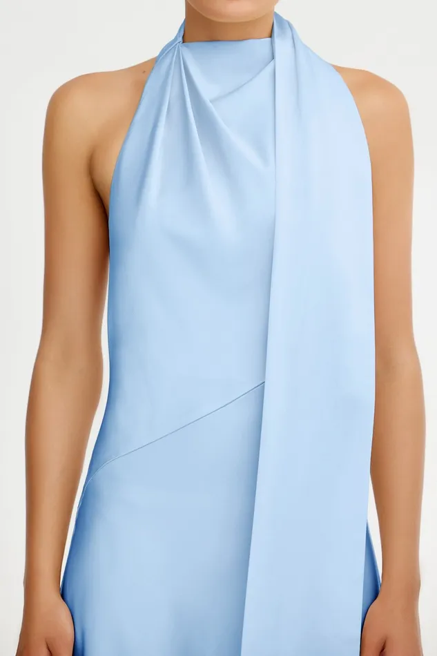 Dresses Women Significant Other ADRIANA HALTER GOWN