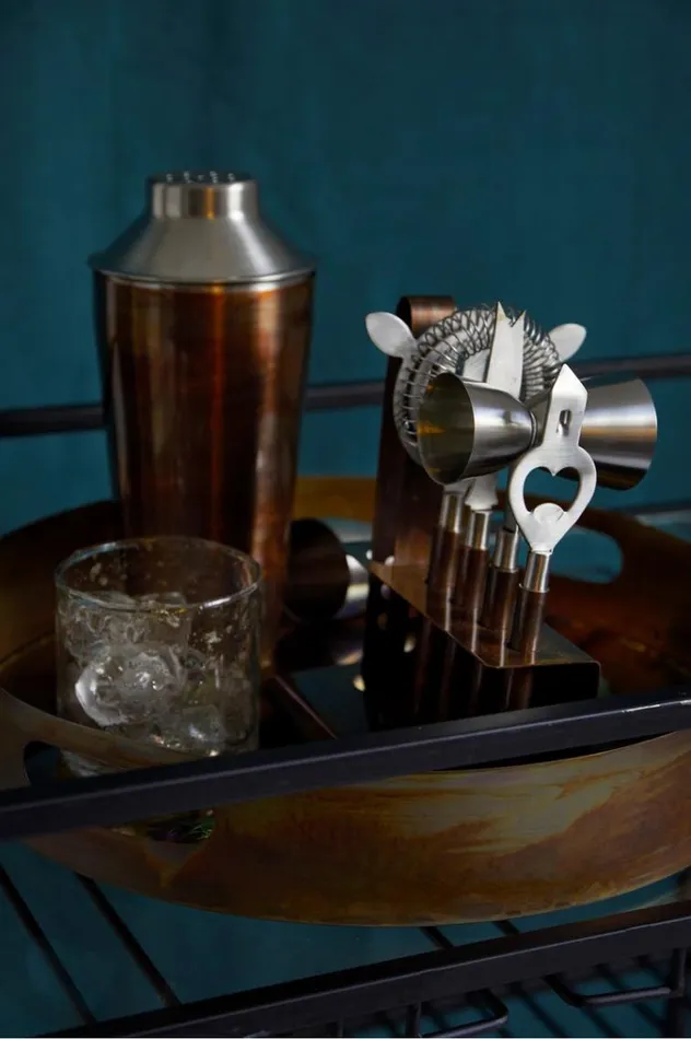 French Connection Home Accessories Galaxy 5 Piece Cocktail Set Bronze 8211 Home