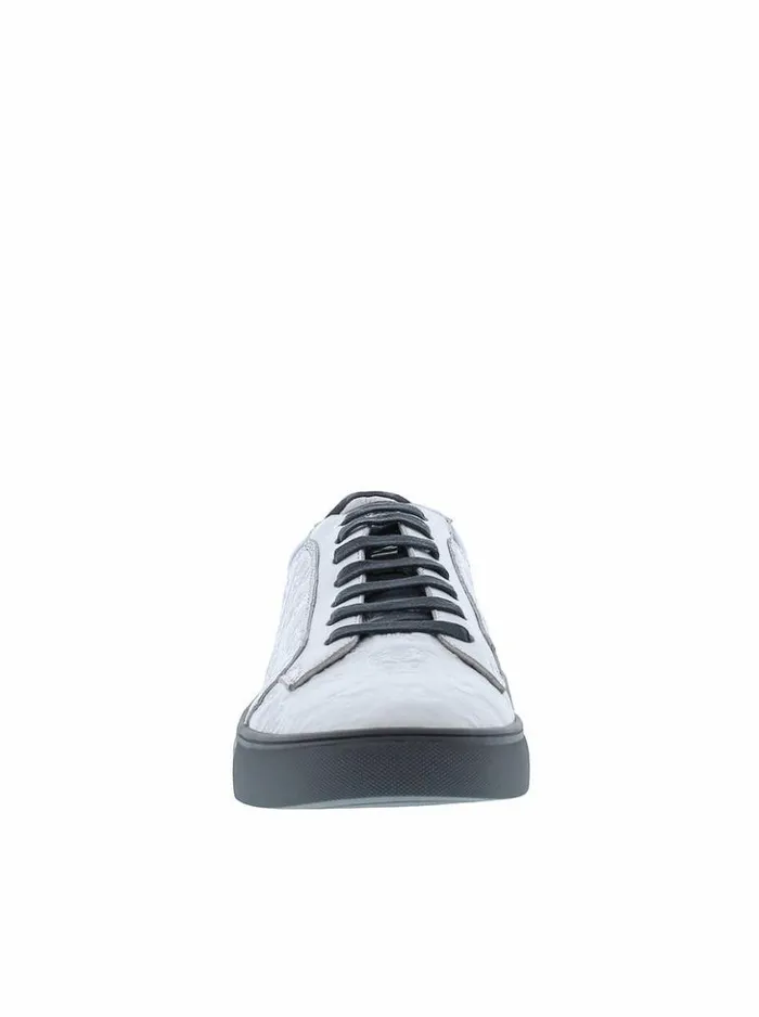 Men Robert Graham Shoes Wayfarer Sneakers White