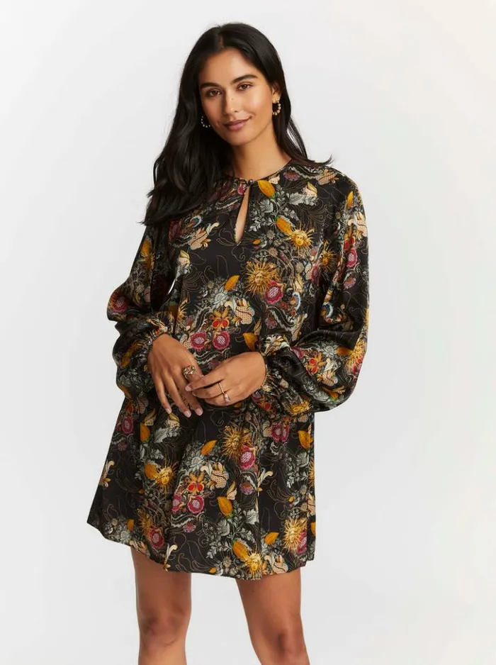 Women Robert Graham Dresses Giselle Dress Multi