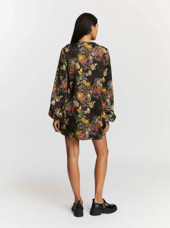 Women Robert Graham Dresses Giselle Dress Multi