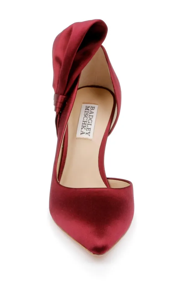 Women Stiletto Badgley Mischka Alejandra Pointed Toe Pumps Black