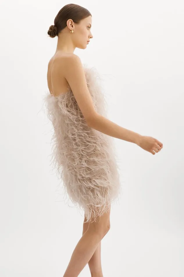 Women TRIANA Feather Dress Feather Pink LAMARQUE Dresses Women TRIANA Feather Dress Feather Pink LAMARQUE Dresses